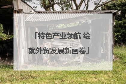 特色产业领航 绘就外贸发展新画卷